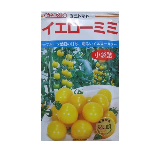 Amazon.co.jp: トマト カネコ交配 イエローミミ カネコのミニトマト種